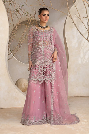 Rang Rasiya - Embroidered Organza Unstitched 3 Piece-Premium Collection-AN0092